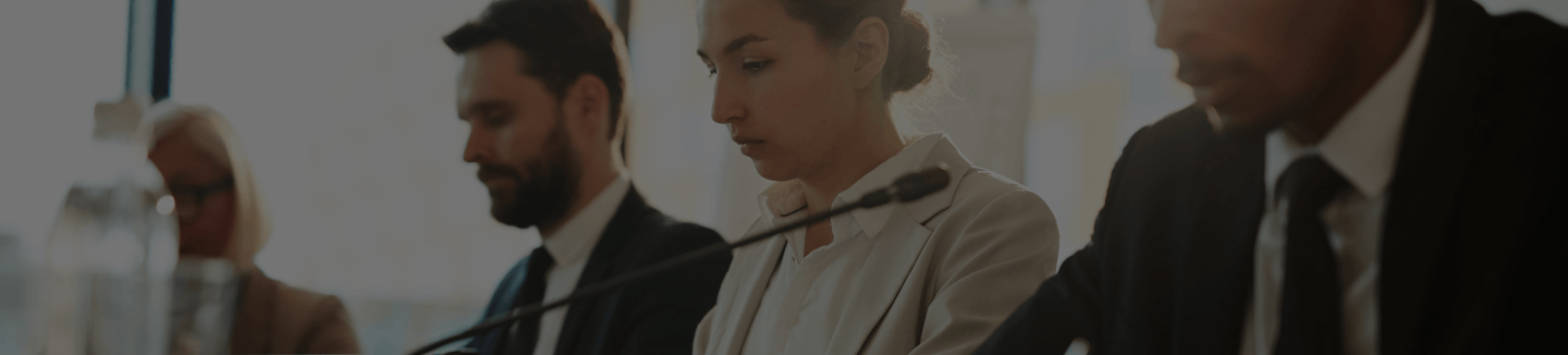 Audit Partners